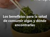 beneficios para salud consumir algas dónde encontrarlas