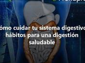 Cómo cuidar sistema digestivo: hábitos para digestión saludable