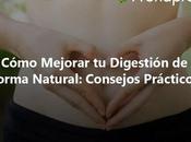 Cómo Mejorar Digestión Forma Natural: Consejos Prácticos