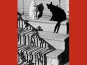 conciencia Montalbano», Andrea Camilleri