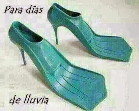 ¿DÓNDE ESTÁS OTOÑO? ¿DÓNDE ESTÁS OTOÑO?