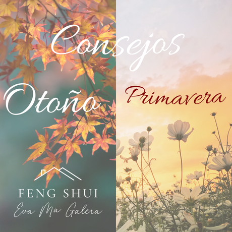 Consejos Otoño y Primavera