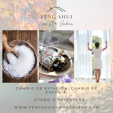 Consejos Otoño y Primavera