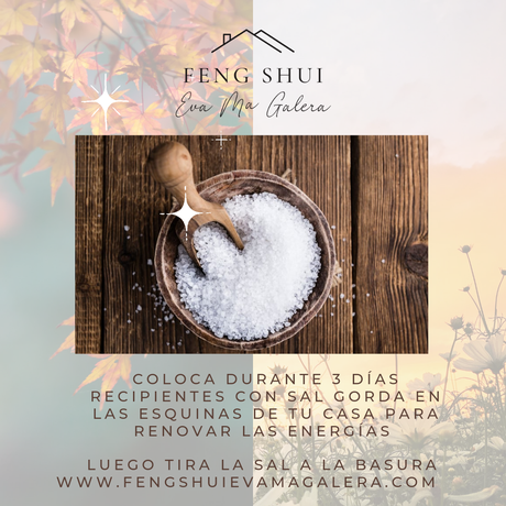 Consejos Otoño y Primavera