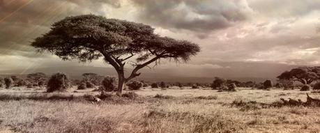 5 lugares románticos para viajar de luna de miel