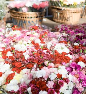 Ideas de Fotos para hacer en Primavera