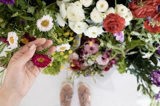 Ideas de Fotos para hacer en Primavera