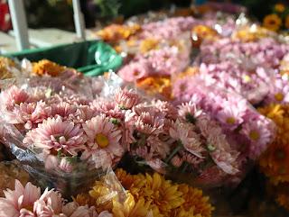 Ideas de Fotos para hacer en Primavera