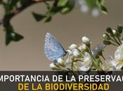 importancia preservación biodiversidad