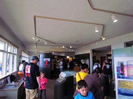 Museo Jaggar. Volcanes. Hawai