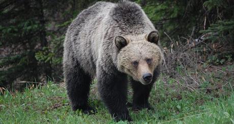 Las 5 rutas de ciclismo que hacer en Asturias