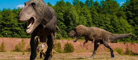 Las 5 rutas de ciclismo que hacer en Asturias