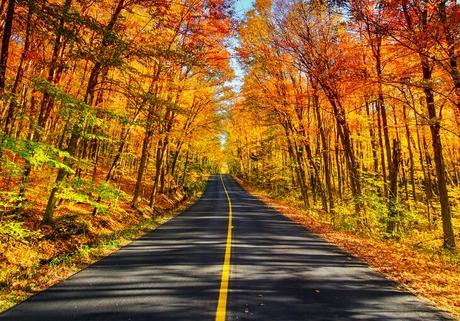 Las mejores formas de disfrutar de los lagos Muskoka, Ontario