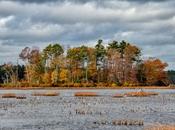 mejores cosas para hacer Hanson (MA)