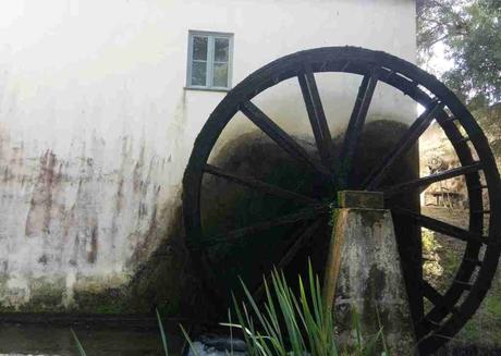 Molino papelero y matemáticas en Leiria