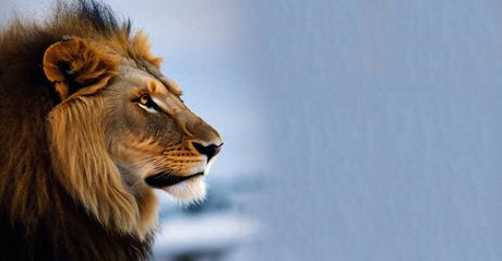 5 PROPUESTAS PARA TU AVENTURA AFRICANA