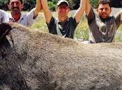 caza “sin límites” jabalies autorizada Xunta.