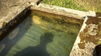 Seis microcortos se disputarán el nuevo Premio Eusko Label