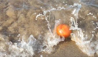 Seis microcortos se disputarán el nuevo Premio Eusko Label