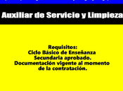 Auxiliar Servicio Limpieza