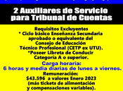 Auxiliares Servicio para Tribunal Cuentas