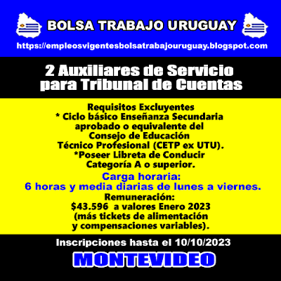 2 Auxiliares de Servicio para Tribunal de Cuentas 2 Auxiliares de Servicio para Tribunal de Cuentas