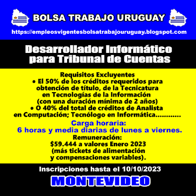 Desarrollador Informático para Tribunal de Cuentas