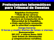 Profesionales Informáticos para Tribunal Cuentas