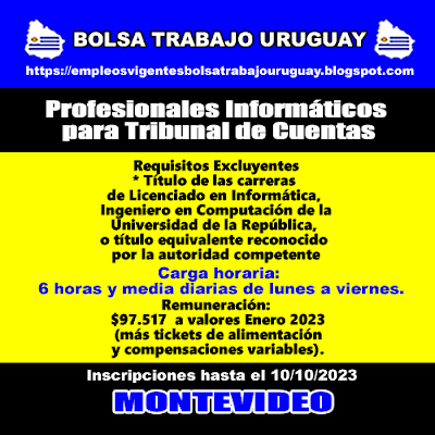 Profesionales Informáticos para Tribunal de Cuentas