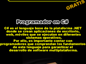 Programador