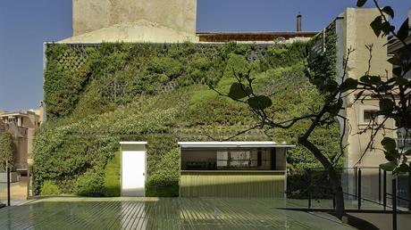 Explorando los Futuros Jardines del Mundo: Trascendencia 12