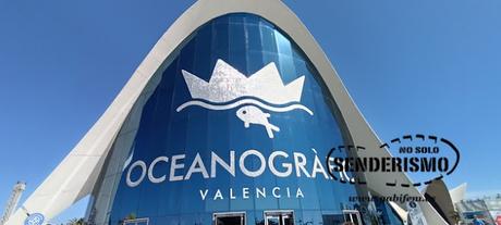 Imprescindibles en València