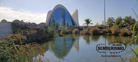 Imprescindibles en València