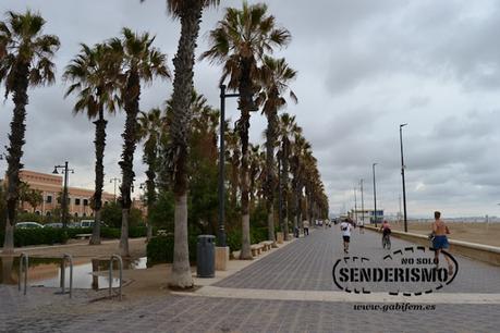 Imprescindibles en València