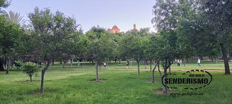 Imprescindibles en València