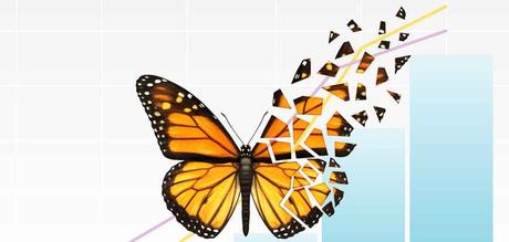 ¿Donde van a parar las mariposas rotas? Camino al closet