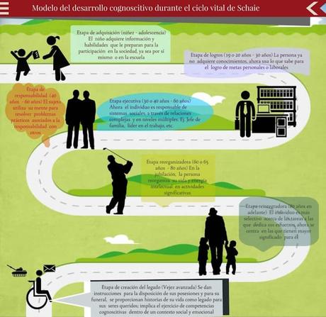 Modelo del Ciclo Vital del Desarrollo Cognoscitivo de Schaie infografía: Modelo del Ciclo Vital del Desarrollo Cognoscitivo de Schaie