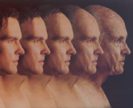 Modelo del Ciclo Vital del Desarrollo Cognoscitivo de Schaie psicología del desarrollo