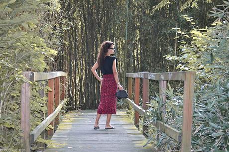 BLACK & RED BLACK & RED