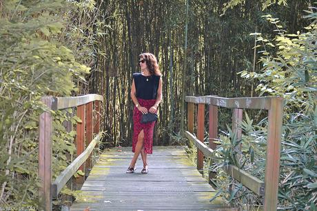 BLACK & RED BLACK & RED