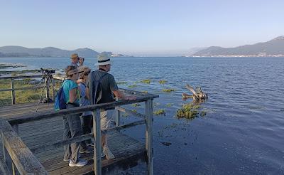 DESDE EL PLAYÓN DE CICERO