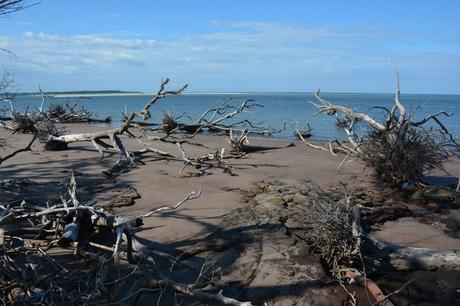 14 mejores cosas que hacer en Orange Park (FL) 14 mejores cosas que hacer en Orange Park (FL)