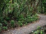 mejores cosas hacer Orange Park (FL)