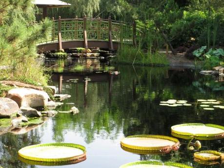 14 mejores cosas que hacer en Orange Park (FL) 14 mejores cosas que hacer en Orange Park (FL)