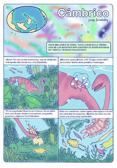 Fanerozoico #1: Paleozoico