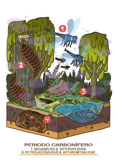 Fanerozoico #1: Paleozoico