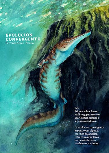 Fanerozoico #1: Paleozoico