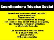 Coordinador-a Técnico Social