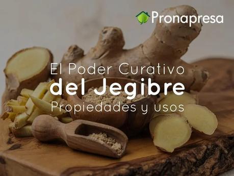 El Poder Curativo del Jengibre: Propiedades y Usos