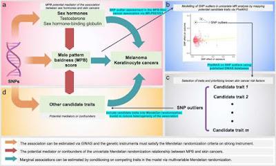Confirman el vínculo entre la caída del cabello y cáncer de piel Confirman el vínculo entre la caída del cabello y cáncer de piel